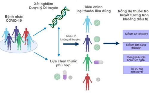Tác động của Gene di truyền đối với hiệu quả điều trị bệnh COVID-19
